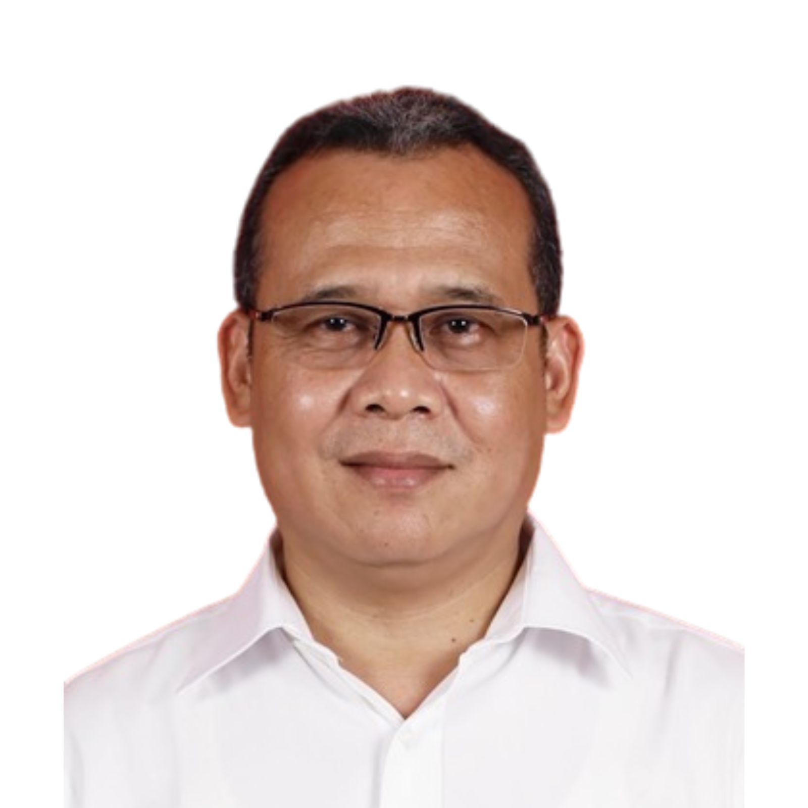 Ir Ilan R Suriadi
